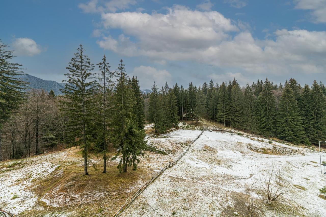 Ambient Apartment In Silver Montain - Poiana Brasov Exterior foto